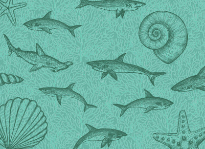 sharks skin